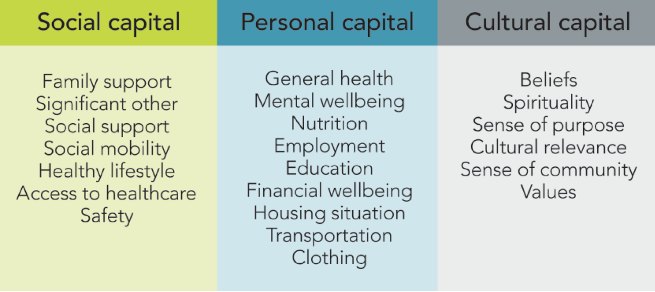 Recovery capital domains